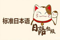 慈溪哪里有日语培训，日语一对一学习