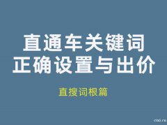 慈溪淘宝运营培训学校哪里好，直通车关键词正确设置与出价