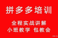 慈溪哪里有拼多多运营培训，拼多多好做吗