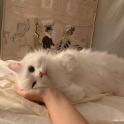 慈溪学电商淘宝培训哪里有_淘宝的整体操作流量