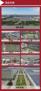 出租宁波前湾单层工业厂房（首月免租，房租20元/平方/月，沪杭甬百公里交通圈）